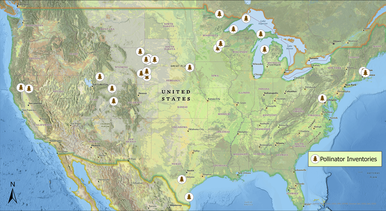 A map of the U.S. with small tree symbols marking the locations of NPS 2025 pollinator inventories.