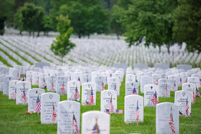 Graves at Arlington Memorial Cemetery on Memorial Day