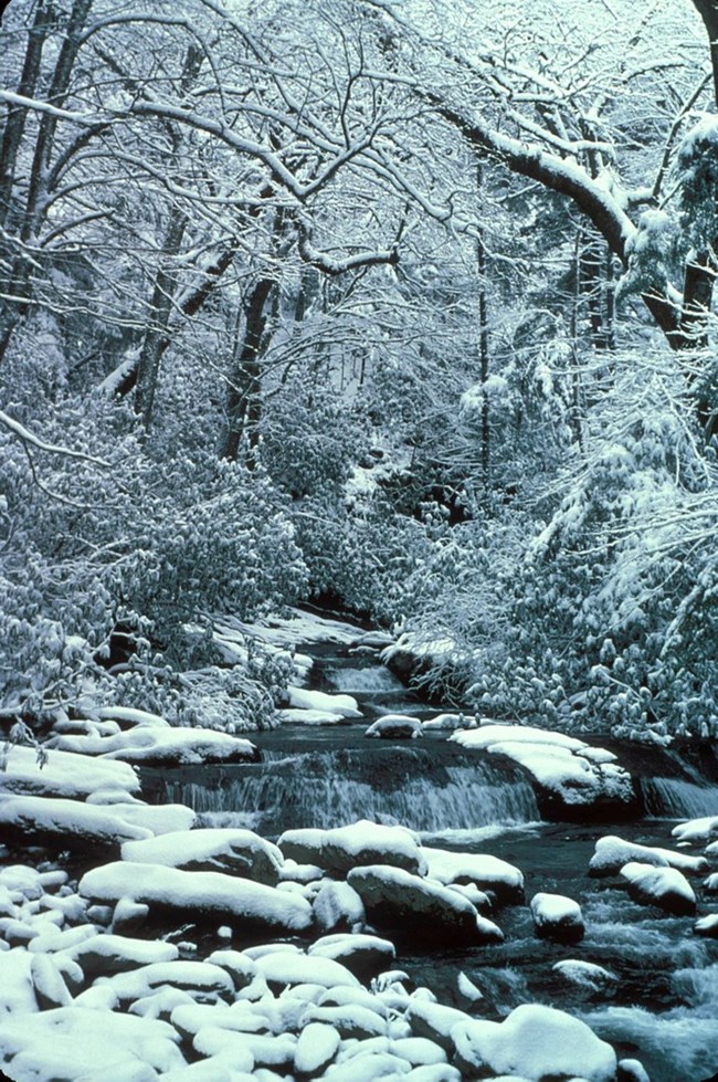 Winter stream in Great Smokey Mountains National Park