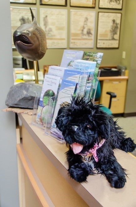 toy dog on desk