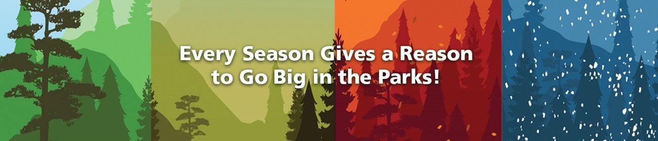 A series of four illustrations representing the four seasons with text reading "Every Season Gives a Reason to Go Big in the Parks!"