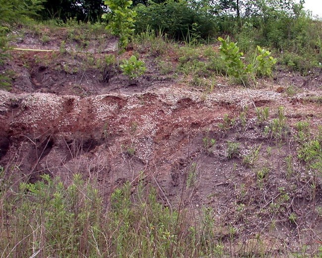 Bed of a weathered outcrop with sparse vegetation.
