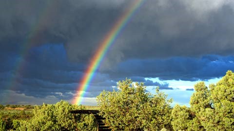 Rainbow cutting through storm clouds above green shrubs