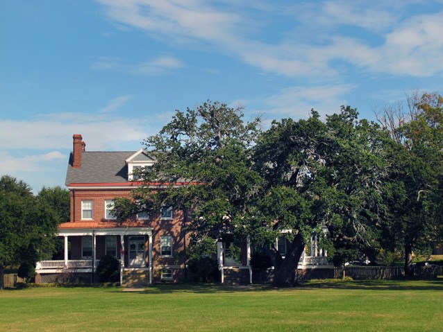 The Algernourne Oak from the Fort Monroe parade ground, 2012.