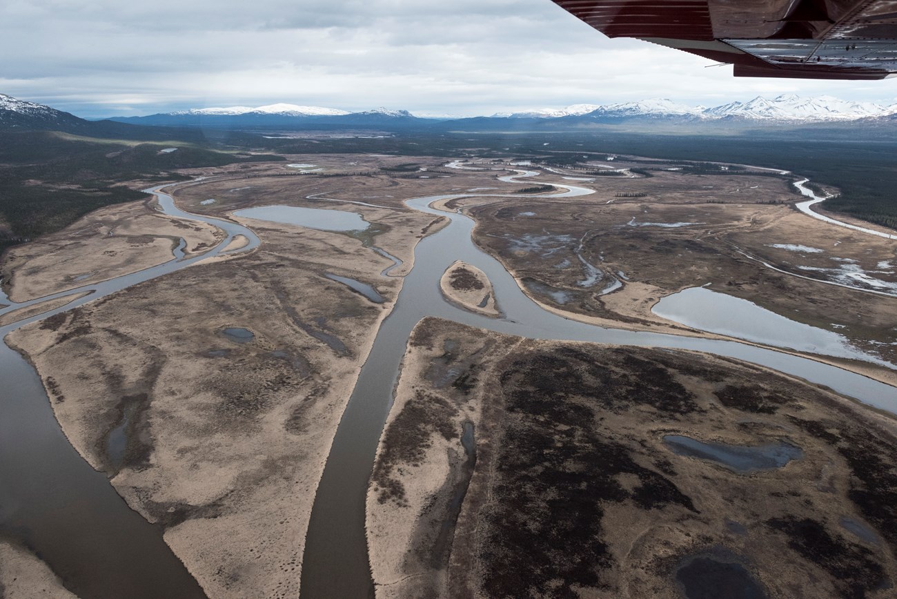 arial view of streams criss-crossing the landscape.