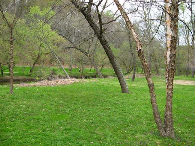 Picnic area along Rock Creek in spring.