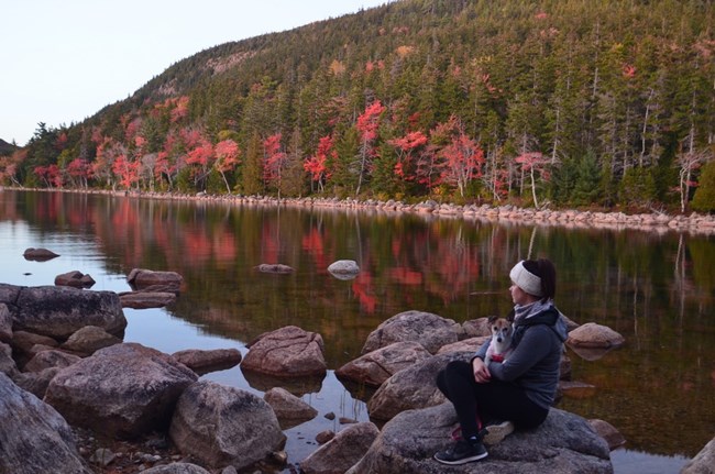 A park visitor and her dog enjoy the fall colors at Jordan Pond in Acadia National Park