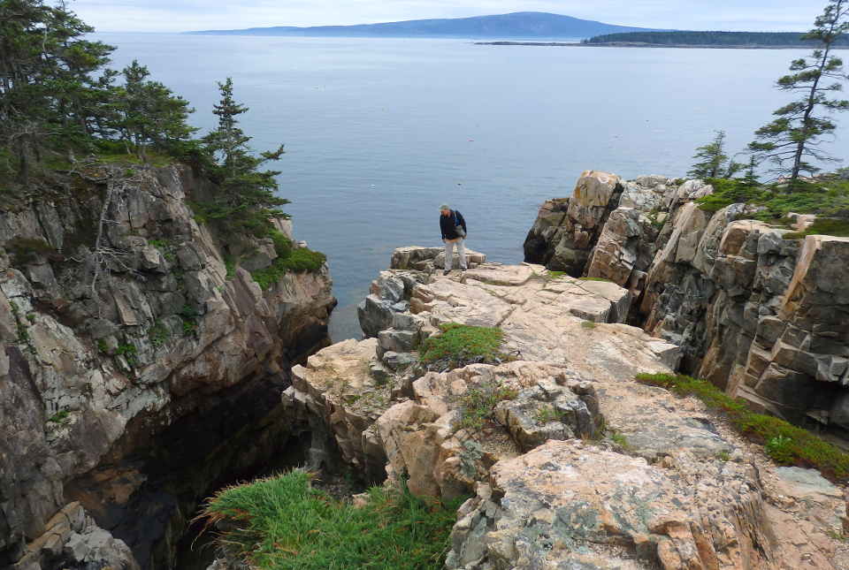 Striking cliffs with trees overlook a cove at Acadia National Park