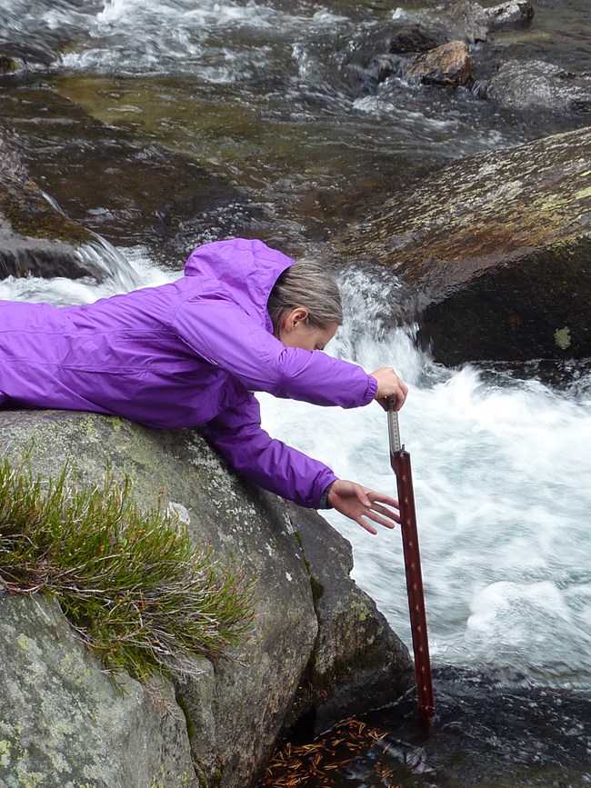 Scientist lying down forward on rock and reaching into flowing river water with a measuring device to measure depth.