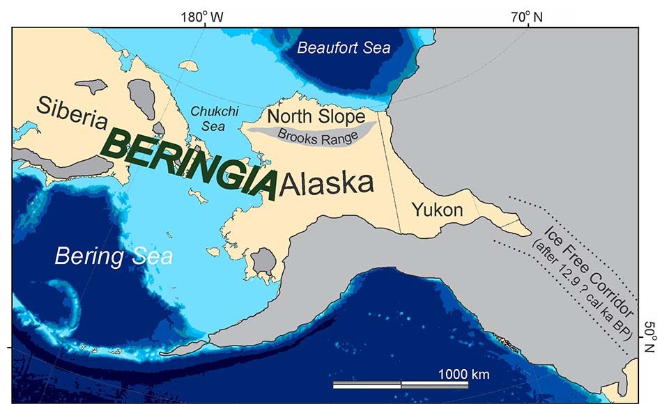 pleistocene-megafauna-in-beringia-u-s-national-park-service