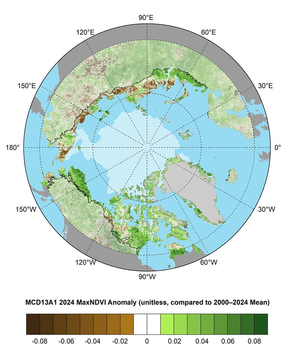 A circumpolar map of greenness.