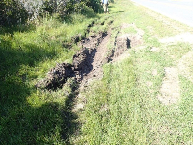 Dirt ripped up on a grassy area in the shape of tire treads.