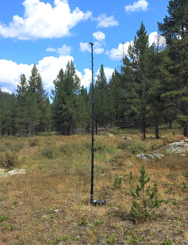 A tall black pole with microphone in the middle of a green meadow.