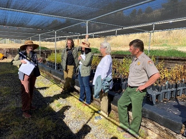 A group of people tour the Native Plant Hub, with rows of potted plants behind them