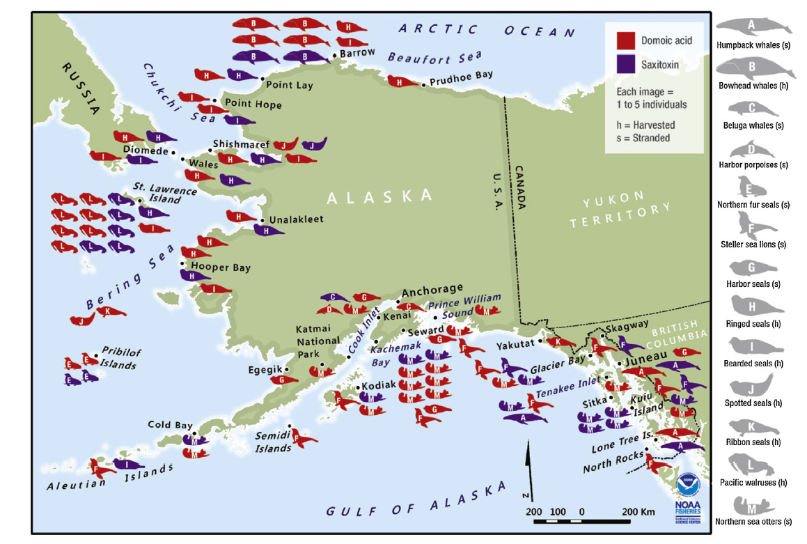 A map of Alaska showing symbols depicting mammal strandings of various species from the Gulf of Alaska to Barrow, AK