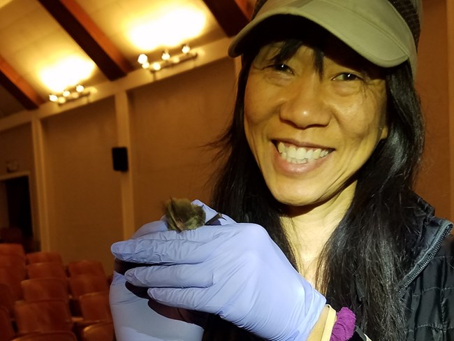 Alice smiles and holds a small furry bat with gloved hands.