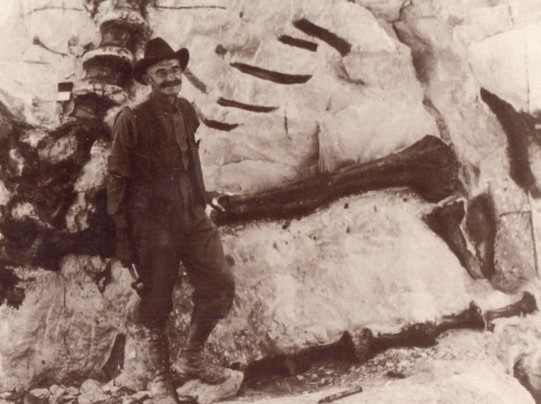 Paleontologist Earl Douglass in Dinosaur National Monument c. 1909. From the Special Collections Dept. of the J. Willard Marriott Library, University of Utah.