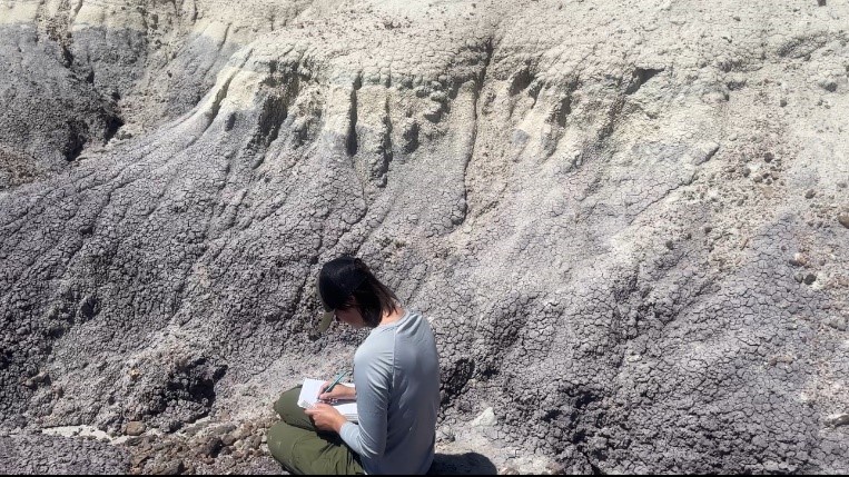 Filling out my own Paleontological Locality Form at a fossil locality in Petrified Forest National Park.