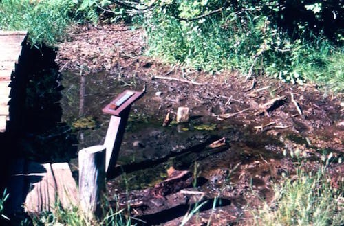 A small pool of water next to a wood footbridge marked by a small plaque.