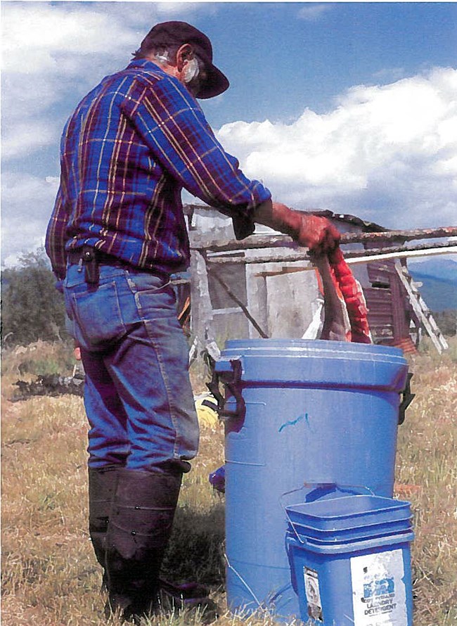 A man in a black hat, plaid-colored shirt and jeans holds filleted salmon over a large blue trash can filled with liquid to brine salmon.
