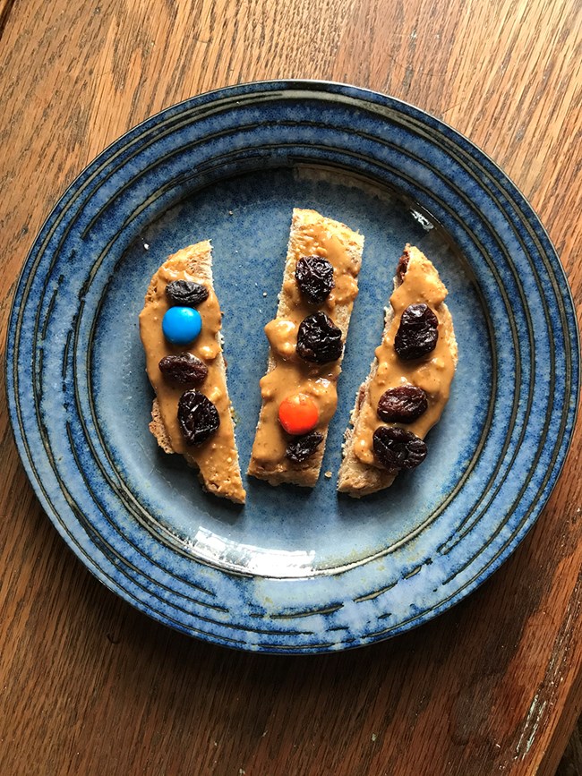 a photo of the snack on a blue plate: strips of bread spread with peanut butter and dotted with raisins and m&ms