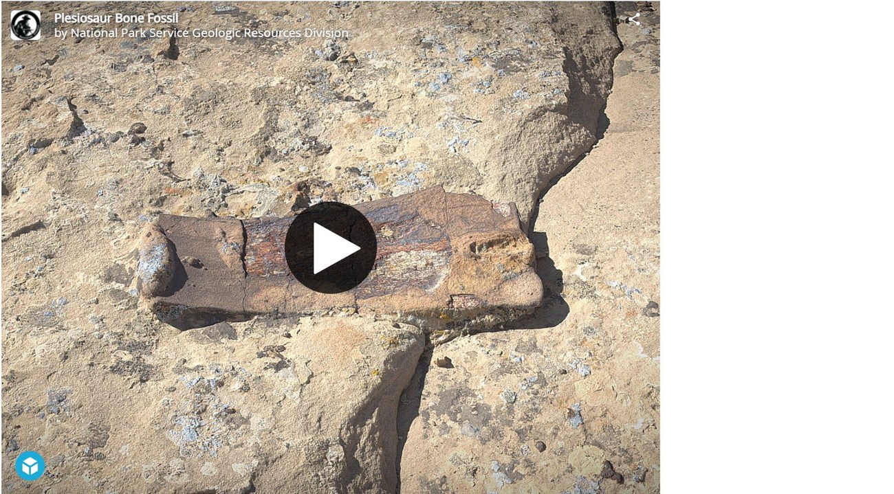 3d model of a block of rock with a fossil bone on the surface.