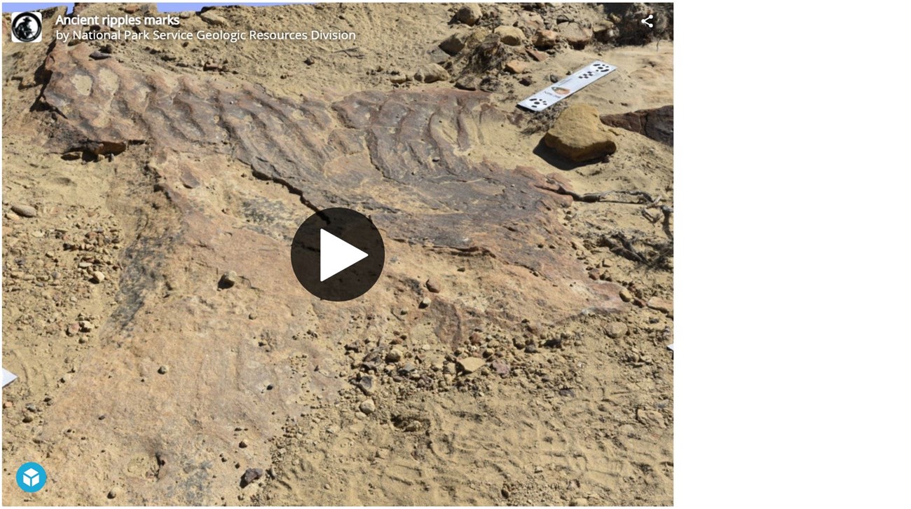 ripple marks on a large sandstone boulder