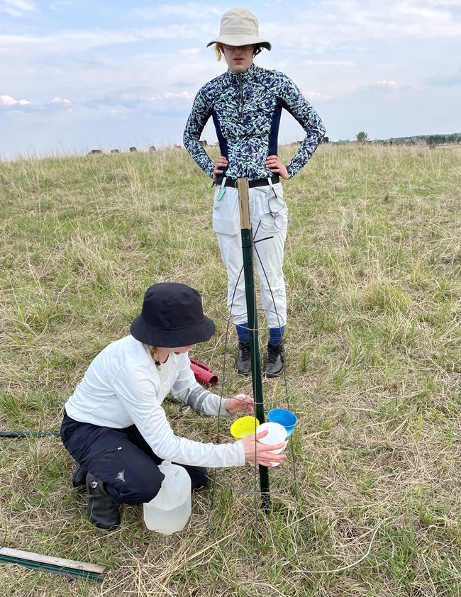 Two people setting up a bee trap. There is a blue, white, and yellow cup that are about to be filled with a liquid stored in a gallon container.
