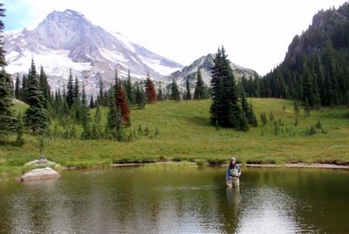 A woman in waders stands hip deep in a subalpine pond surrounded by mountains.