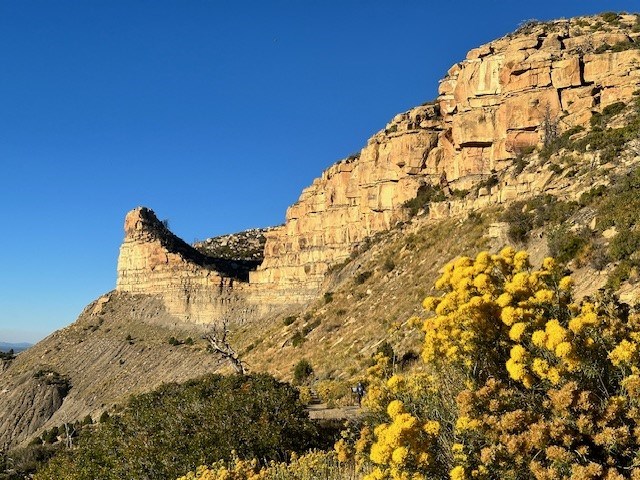 The sun shines on tan cliffs above yellow and green vegetation. The sky is a clear blue.