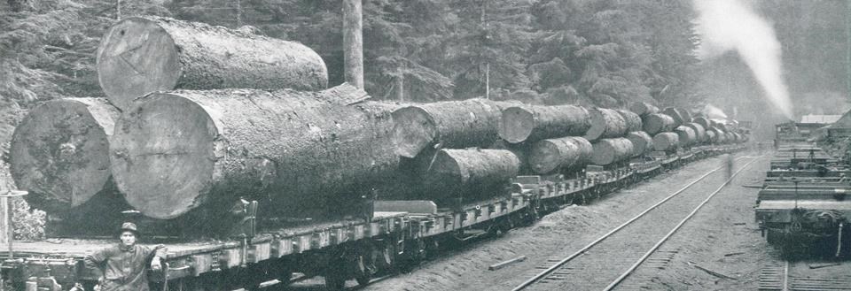 Photo of spruce logs on a railroad car