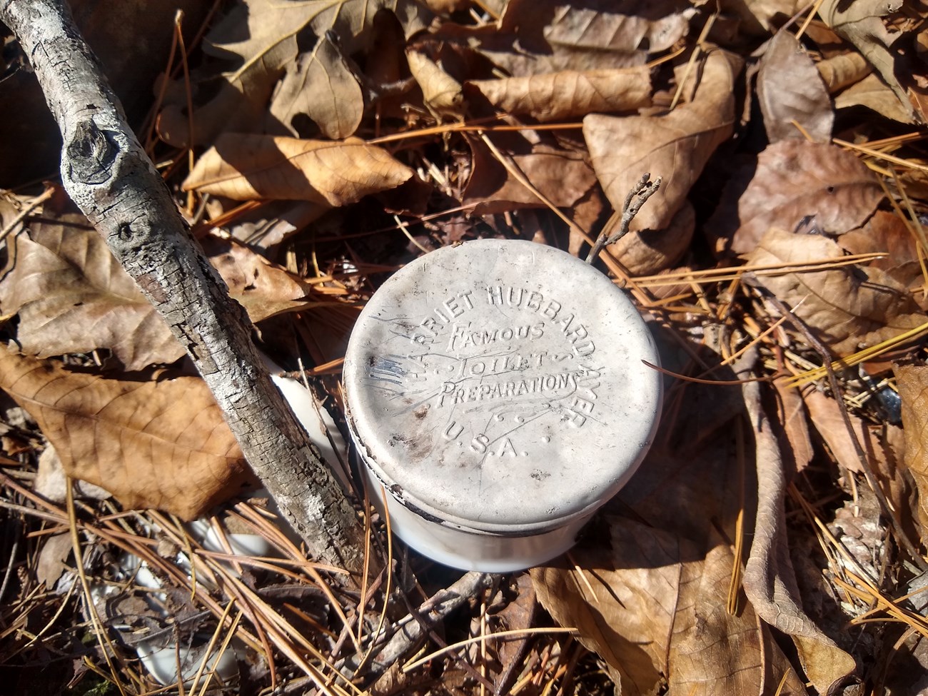 White jar sitting on leaves