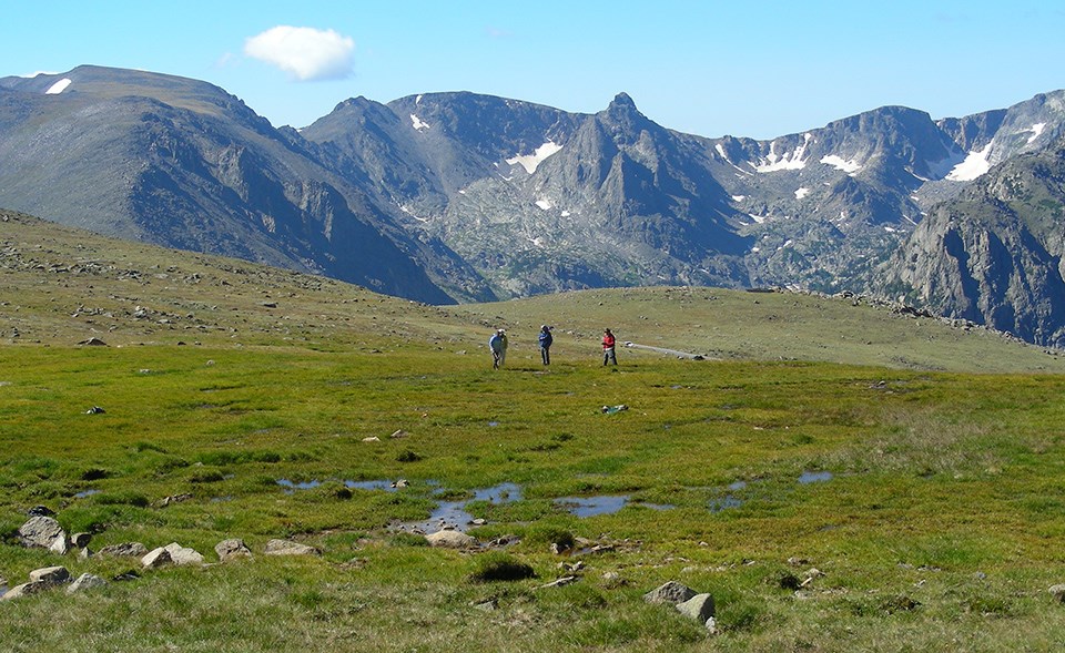 three people standing on a high-elevation grassy wetland with mountain peaks in the background