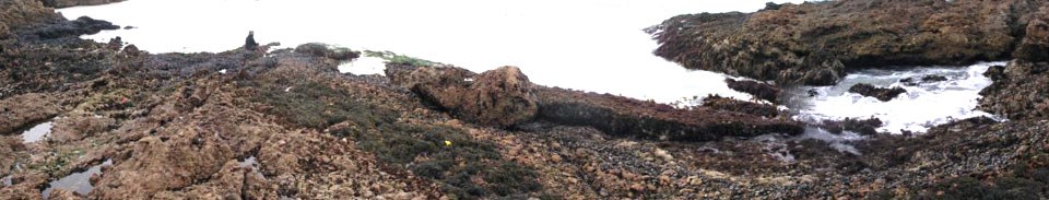 Panorama of Cuyler Harbor at low tide