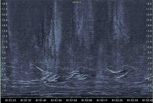 The readout from a sonar scan showing blips indicating the presence of salmon.