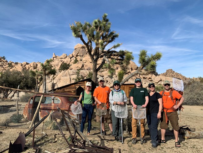 Six scientists wearing t-shirts and ball caps smile at the camera, holding sampling nets. Joshua trees and desert rocks in background.
