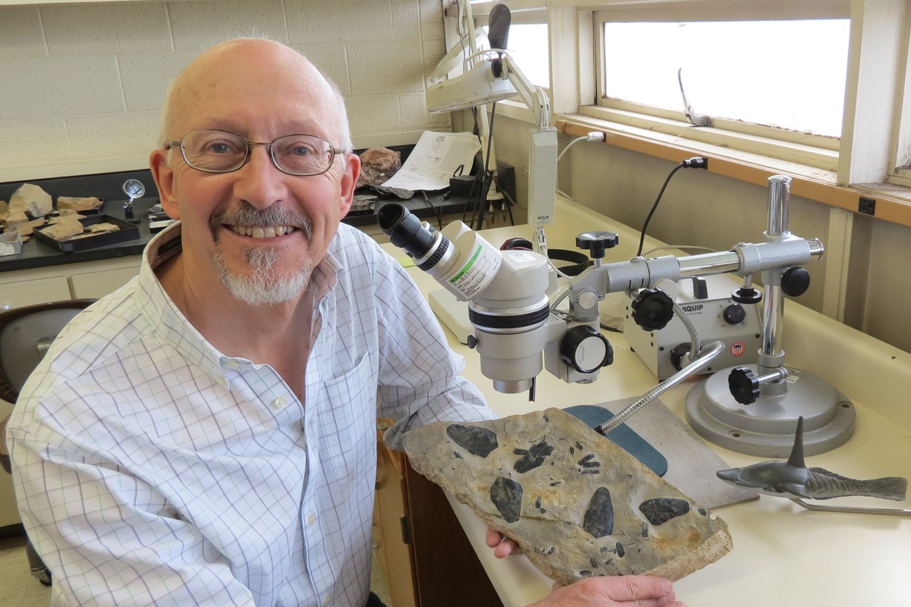 Paleontologist David Elliott at his microscope with some fossil heterostracans