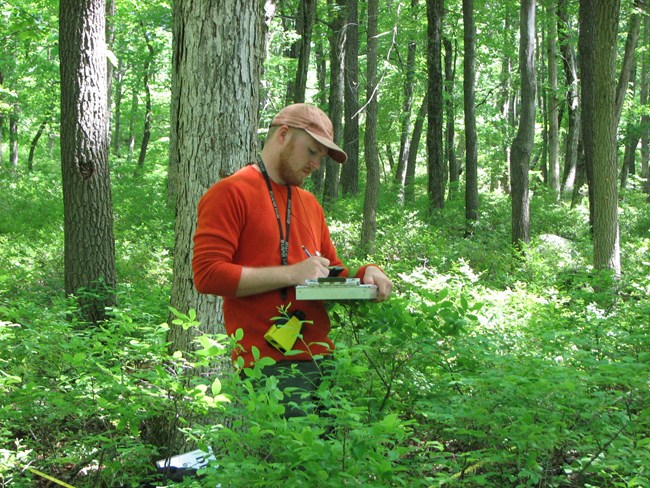 A man stands in the forest writing on a clipboard with shrubs all around.