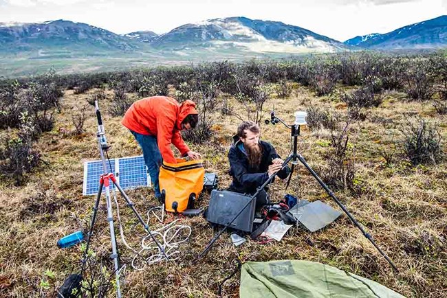 Two sound ecologists work in the field setting up equipment.