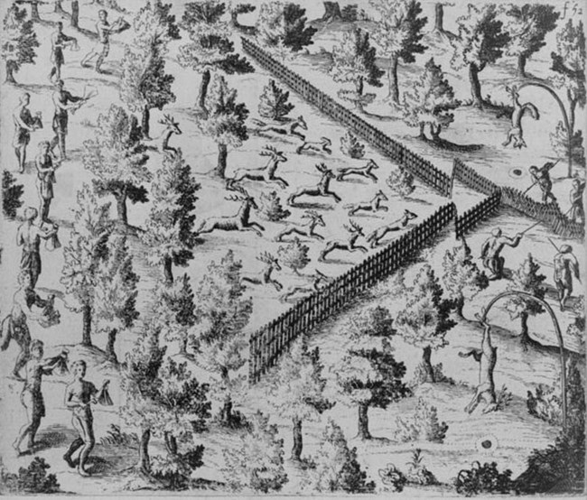 Deer are funneled by fencing to a kill point. Library of Congress. 1613