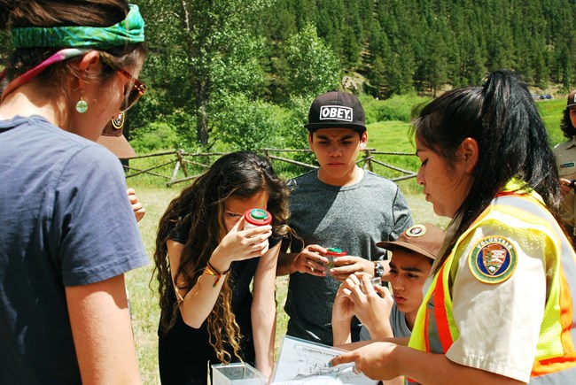 A group of students examine dragonfly larvae samples.