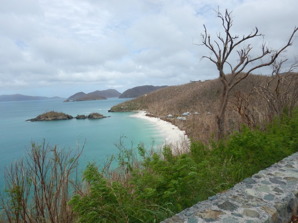 view overlooking a bay heavily wooded with shrubs