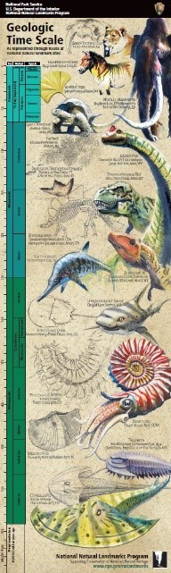poster of geologic time scale featuring drawings of prehistoric animals