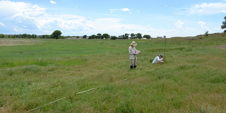 One person standing with a clipboard and one person kneeling in the grass holding a tall pole next to a stretched out measuring tape