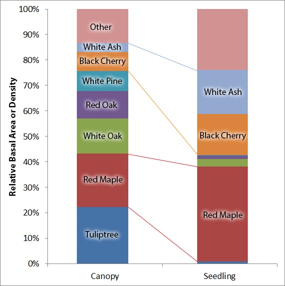 Chart showing the relative abundance of tree species in the canopy and seedling layers.