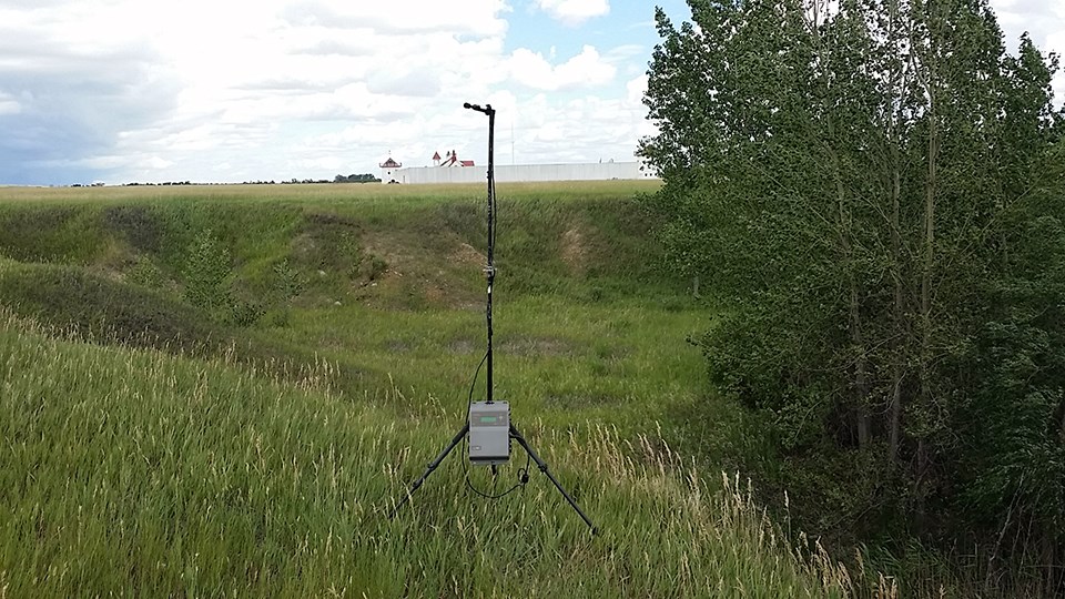 Acoustic recording station set up by cottonwood trees