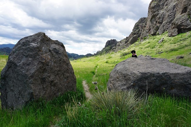 stuffed pup near hiking trail