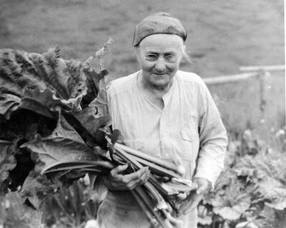 a woman holding very large rhubarb leaves