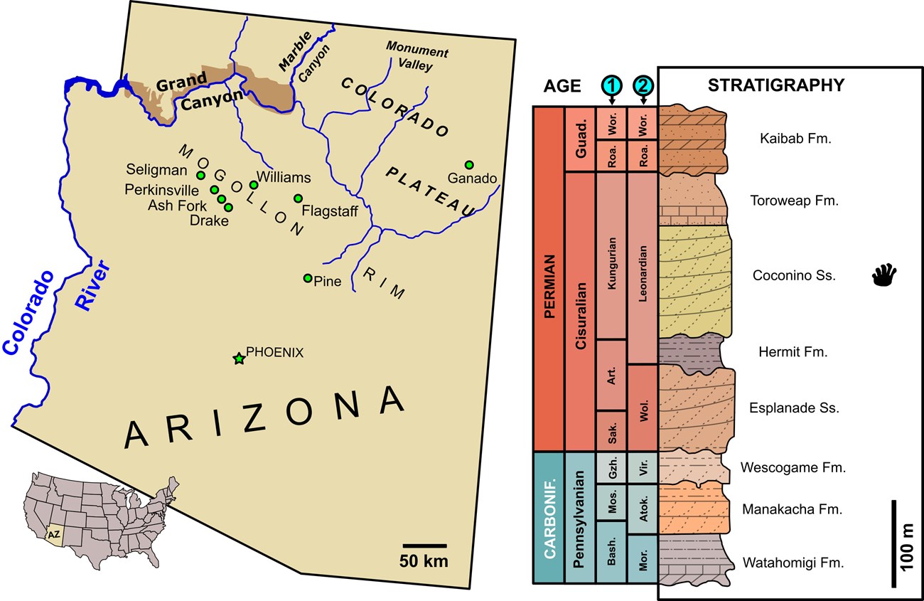 area map of grand canyon, arizona and a stratigraphic column of rock layers