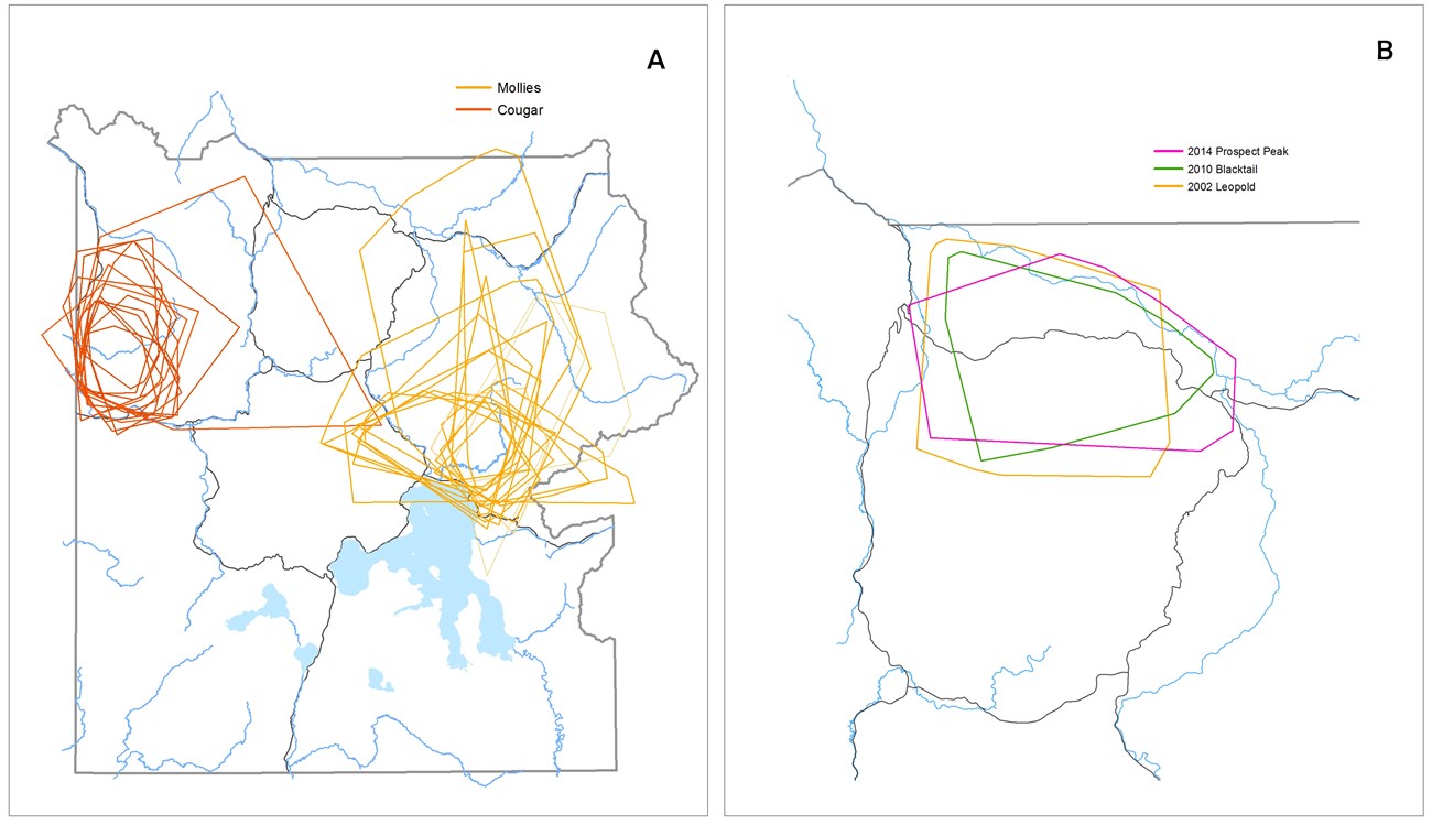 Figure showing land use by Cougar and Mollies wolf packs